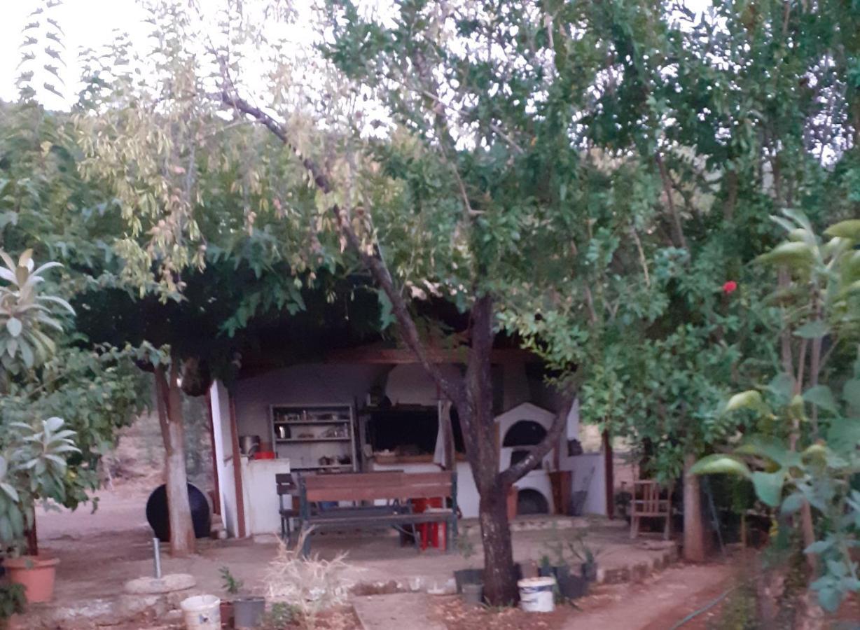 A Modern Farmhouse With Big Garden Trápeza المظهر الخارجي الصورة