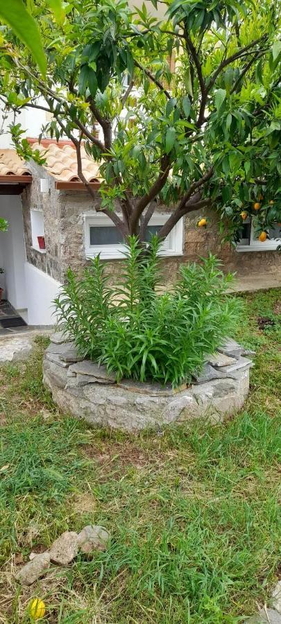 A Modern Farmhouse With Big Garden Trápeza المظهر الخارجي الصورة