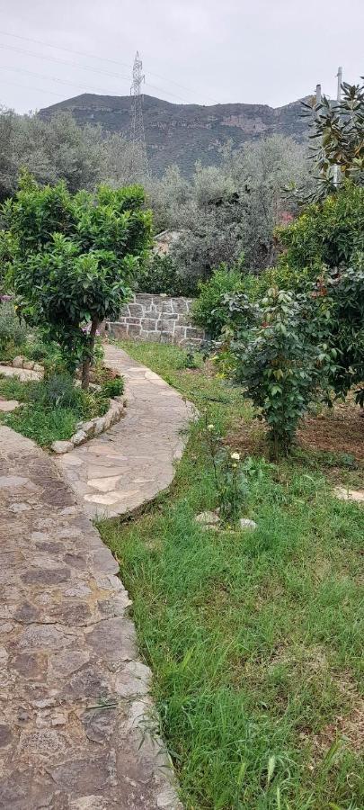 A Modern Farmhouse With Big Garden Trápeza المظهر الخارجي الصورة